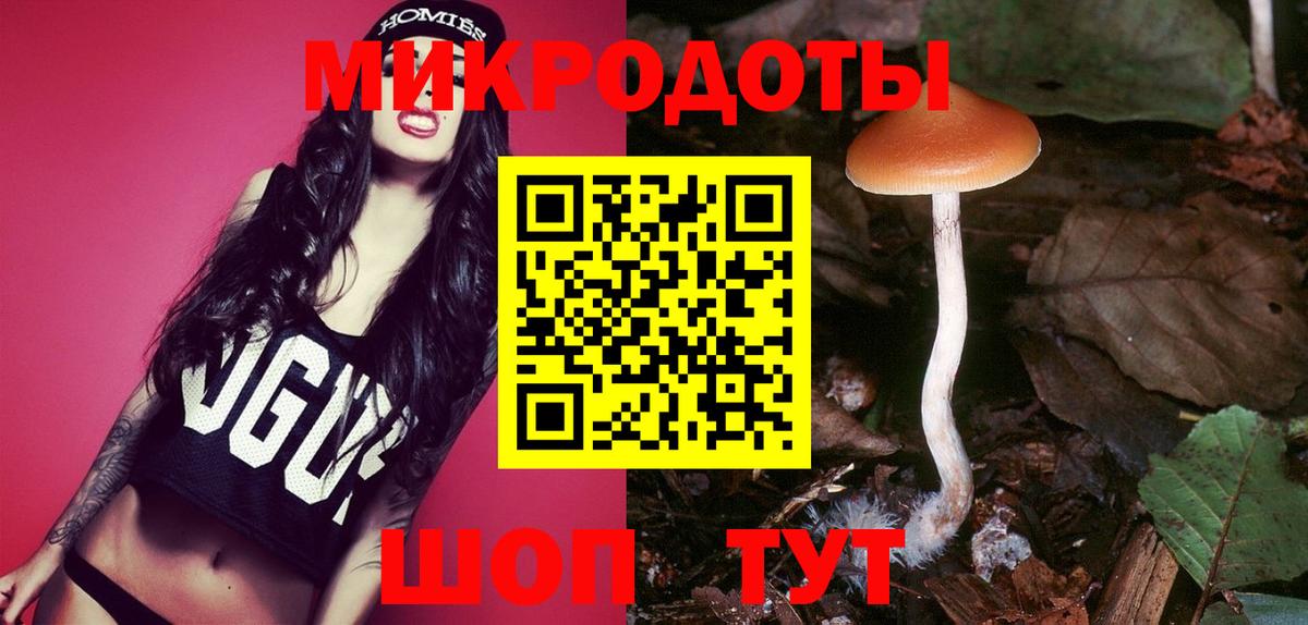 Галлюциногенные грибы Cubensis Острогожск